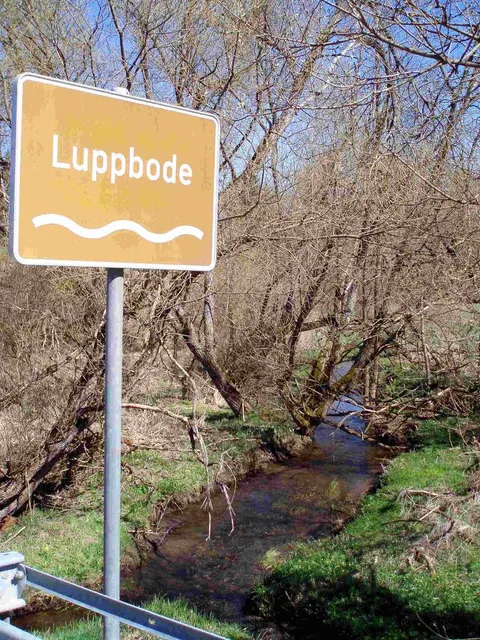 Luppbode