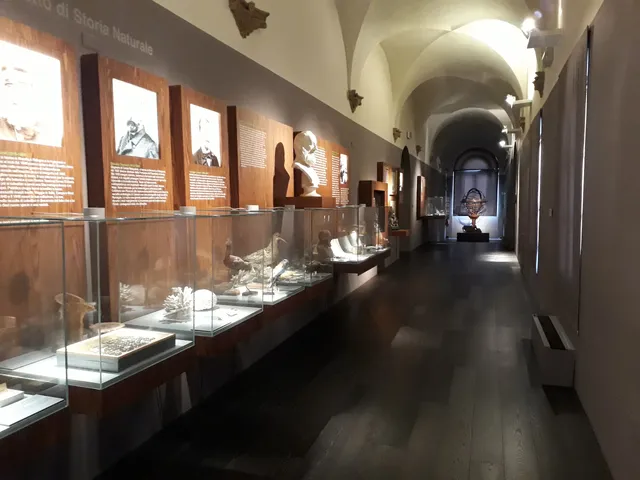 Musée de San Domenico