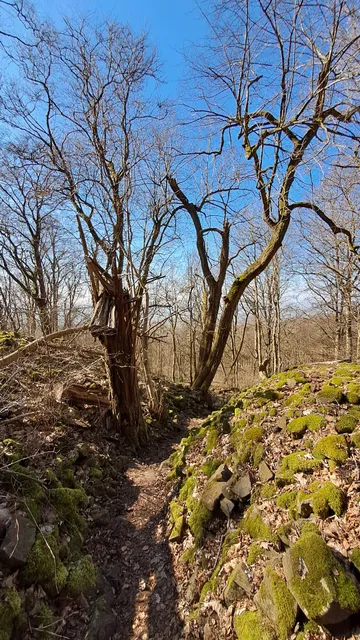 photo-1