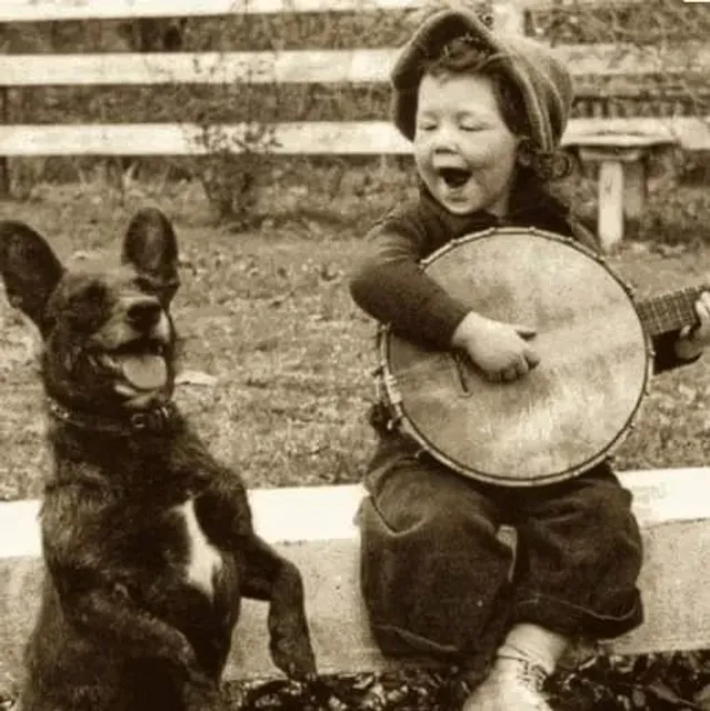 Guitar Junkyard & String Instrument Museum