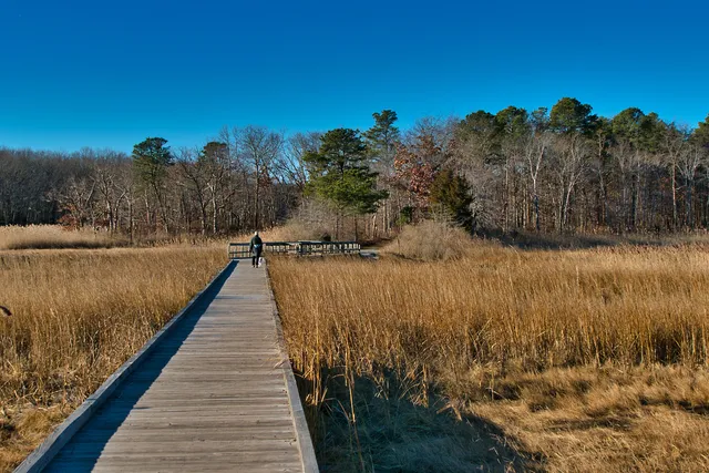 Cheesequake State Park