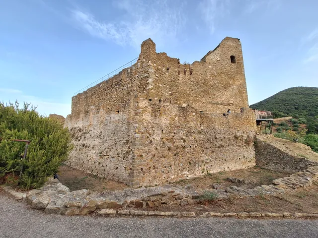 photo-1