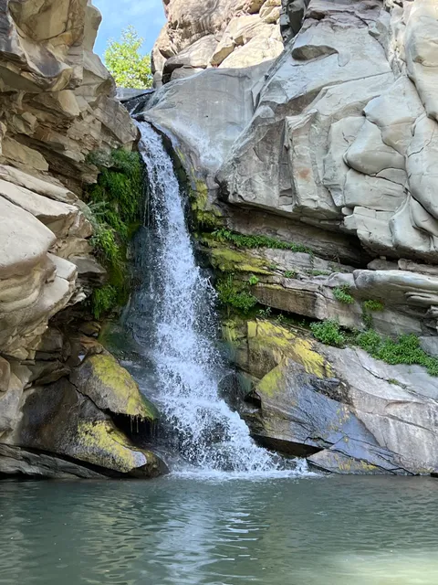 Santa Paula Punch Bowls