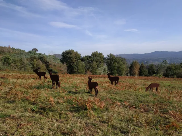 Petroglifos De Touron