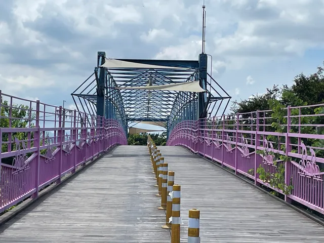 Tanya Shen Green Bikeway