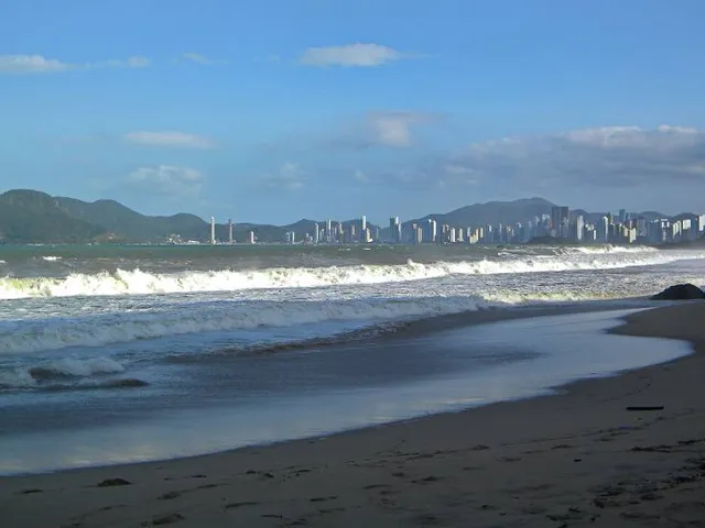 Beach Cove - Singing Turtle