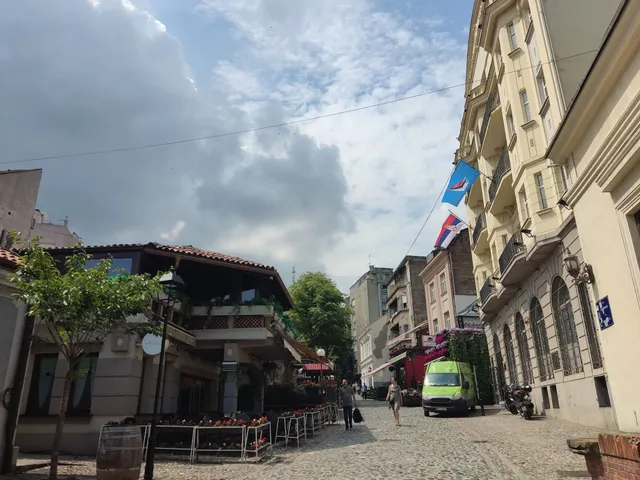 Đura Jakšić's House