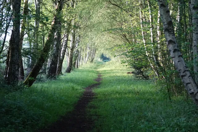 Wilwell Farm Nature Reserve