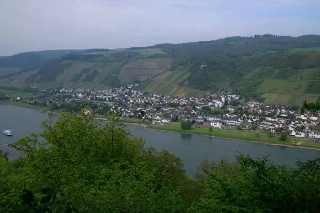 Traumpfädchen Kleiner Stern