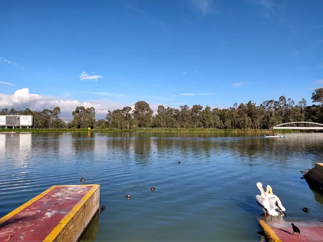 Tennis Boating Virgilio Uribe