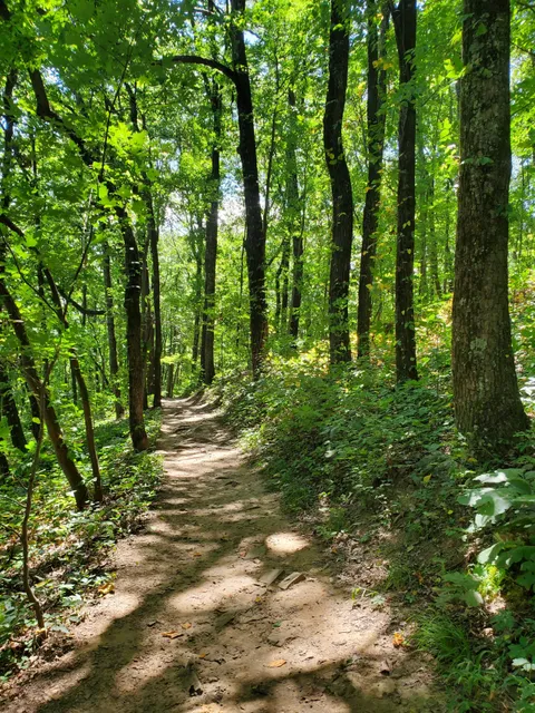 Guild-Hardy Trailhead, Lookout Mountain Trails