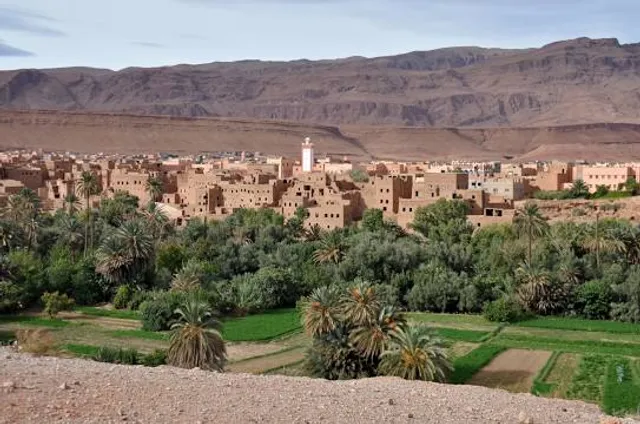 Palmeraie de Tinghir