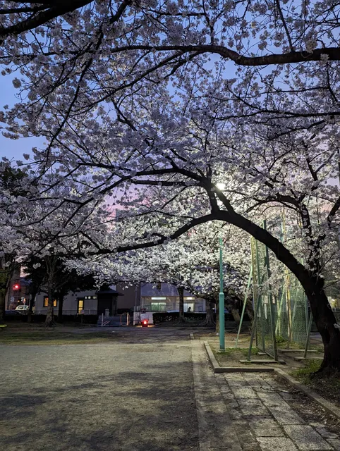 Nakajima Central Park