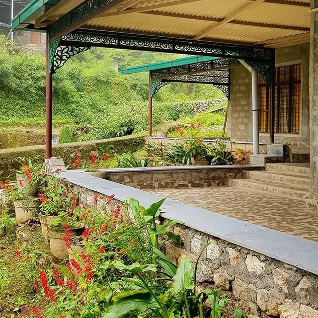 A Dogs Story, Mussoorie