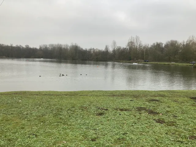 Les Étangs de Strépy - La Louvière