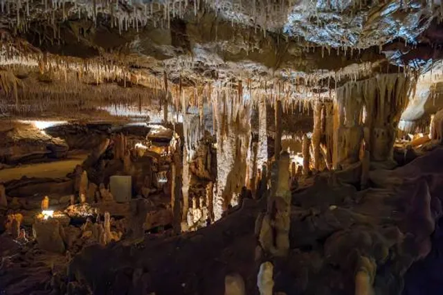 Grottes préhistoriques de Cougnac