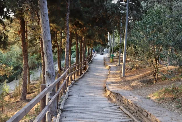 Taleghani Forest Park