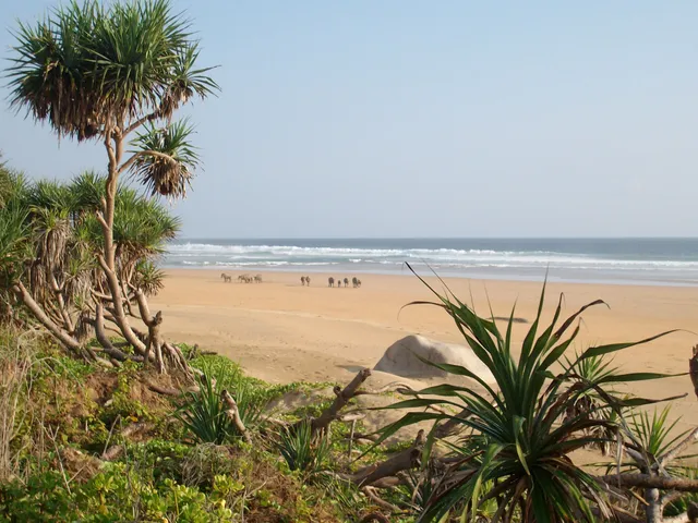 Pantai Tawui