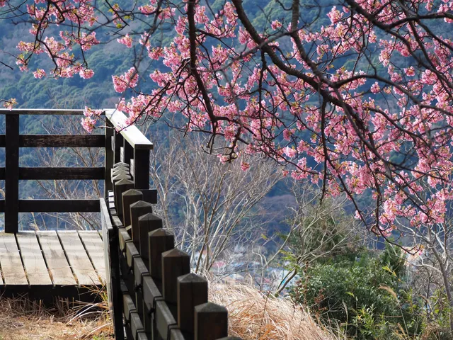Ruins Park of Kawazu Castle