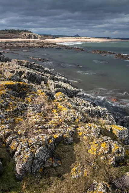 John Muir Country Park