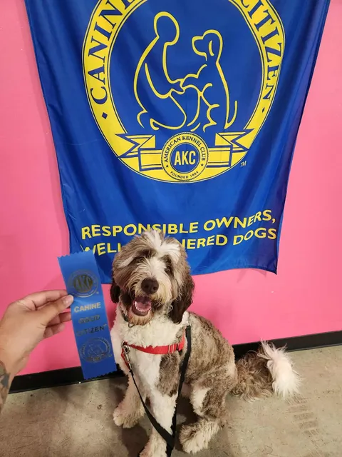 Arfordable Dog Training