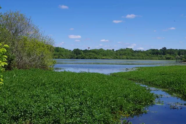 Etang de Garros
