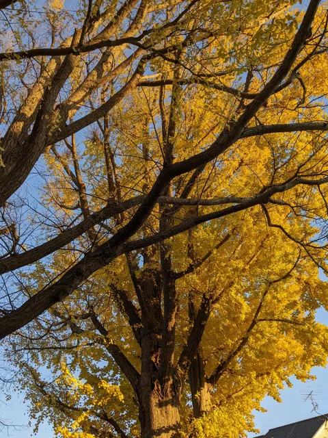 Oizumi Fūchichiku Park