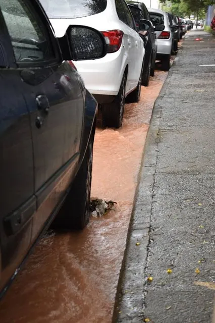 Bruce Monroe Community Park