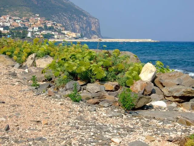 S'Abba Meica beach / Dog beach