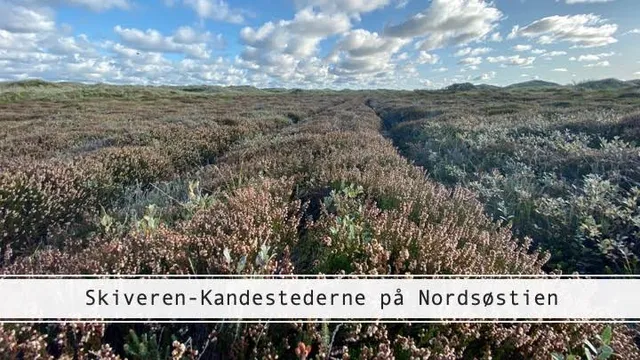 Kandestederne - Skiveren