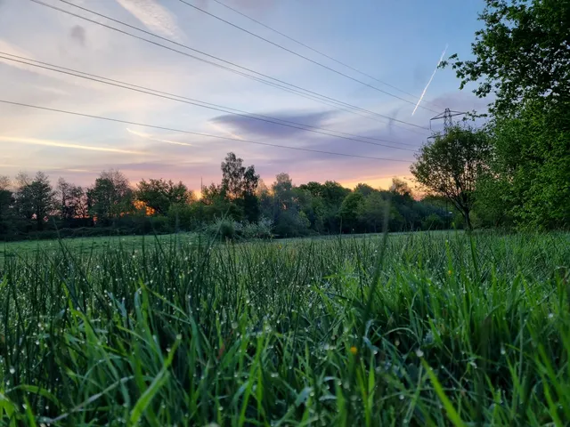 Henllys Local Nature Reserve