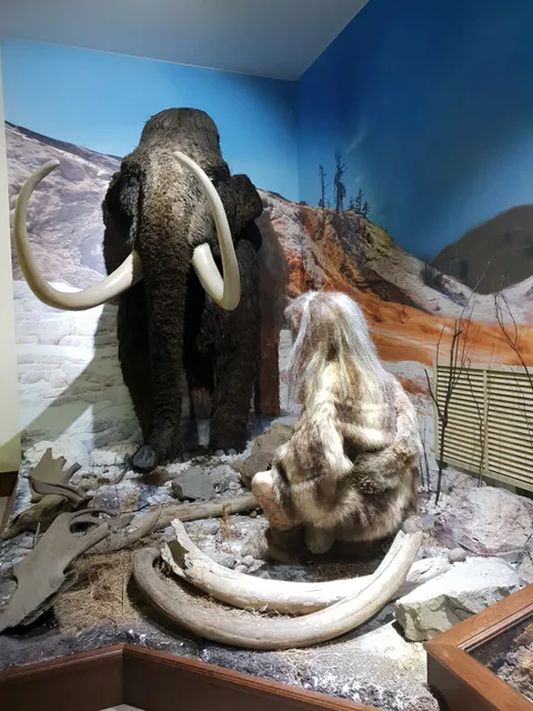 Novokuznetskiy Krayevedcheskiy Muzey