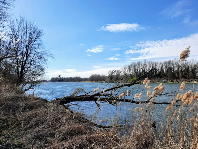 Dráva-ártér tanösvény