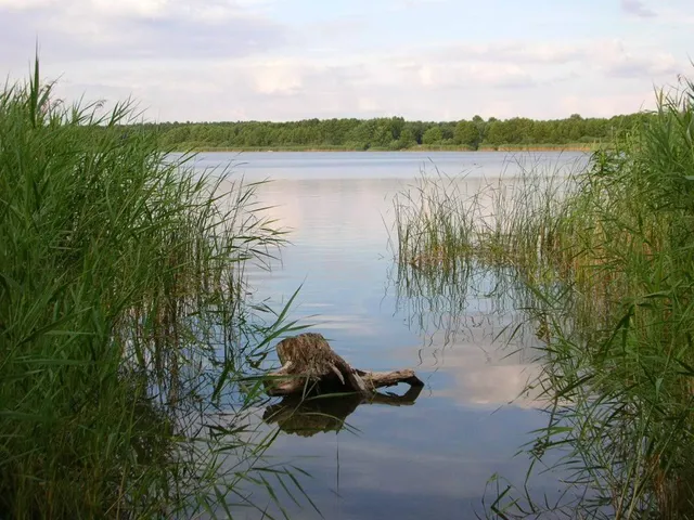gmina Nowa Wieś Wielka