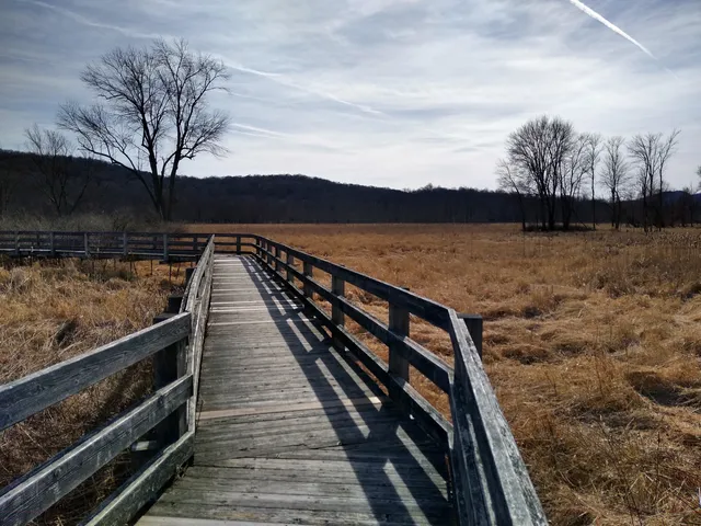Goosepond Mountain State Park