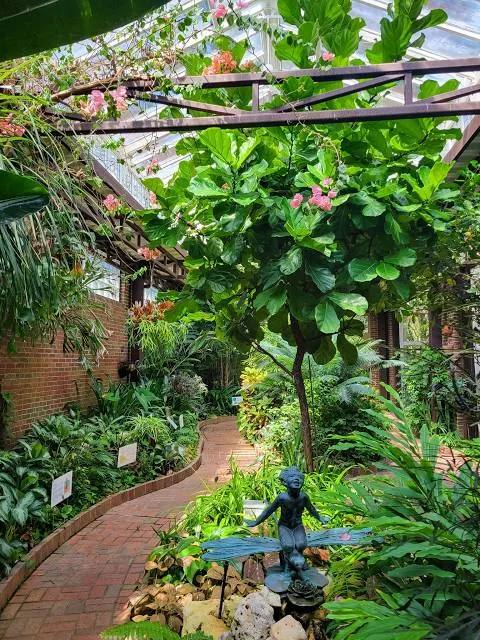 Biedenharn Museum & Garden