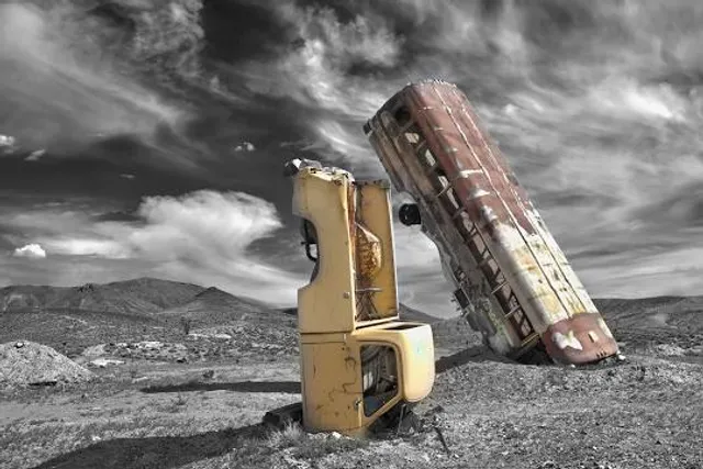 The International Car Forest