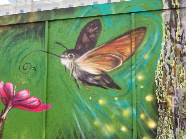 Hastings Town Centre Community Market