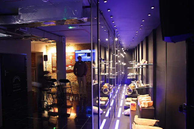 Piwnica Romańska - Muzeum Archeologiczne w Gdańsku