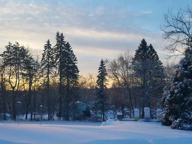 Chelmsford Historical Society