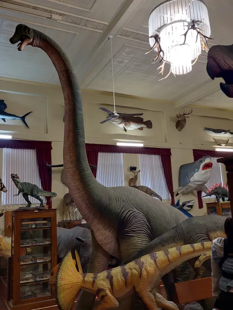 The Academy of Taxidermy