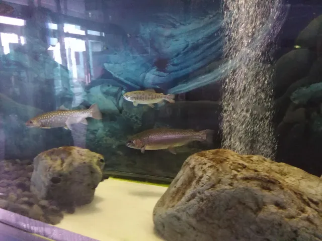 Tama River Fureai Aquarium