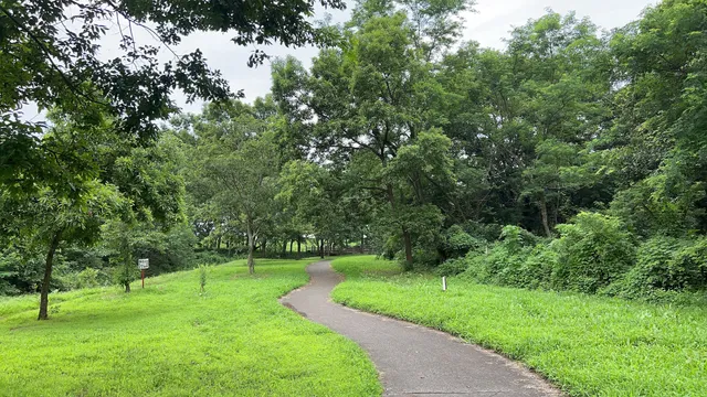 Nature Reserve Parking Area