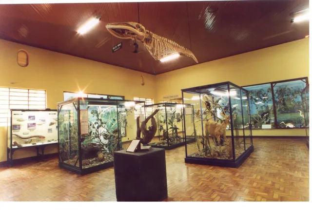 Museum of Natural History of Campinas