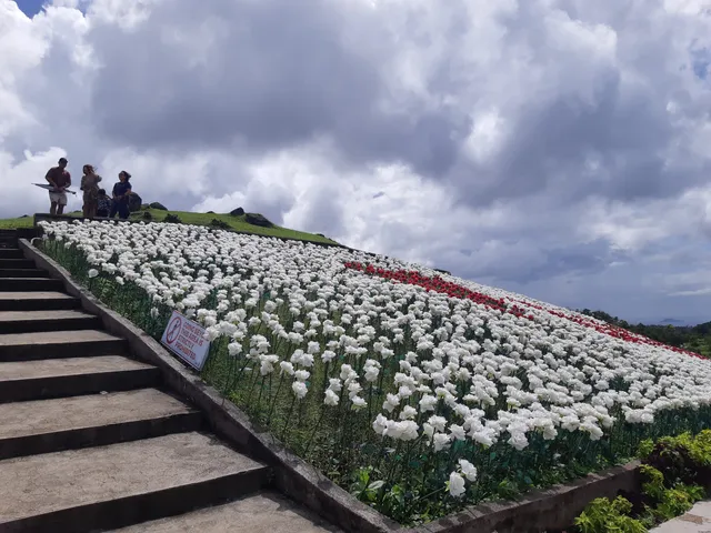Lintaon 16,000 Blossoms