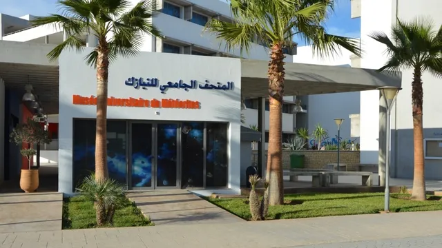 University Museum of Meteorites