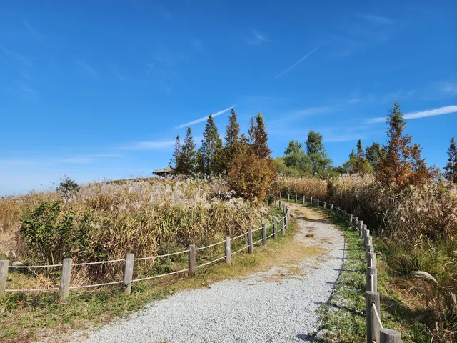 금강습지생태공원