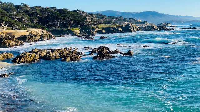 Lone Cypress Point Lookout