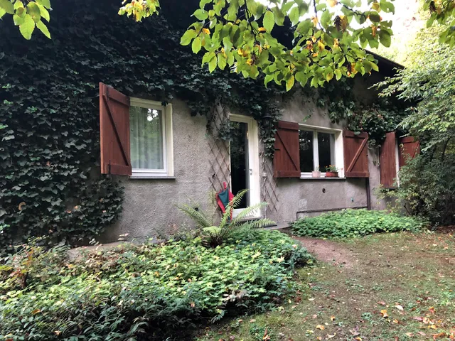 B&B L'Albero Maestro