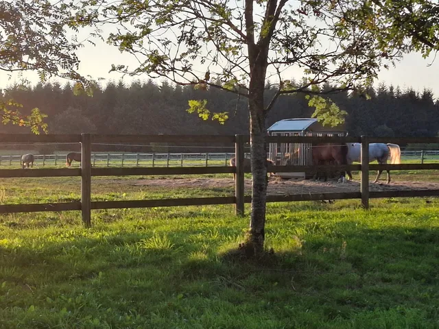 Au Ptit Bois Charmant